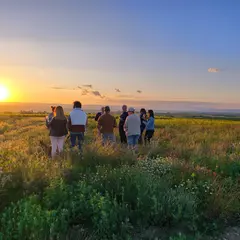 Balade Golden Hour Au Domaine