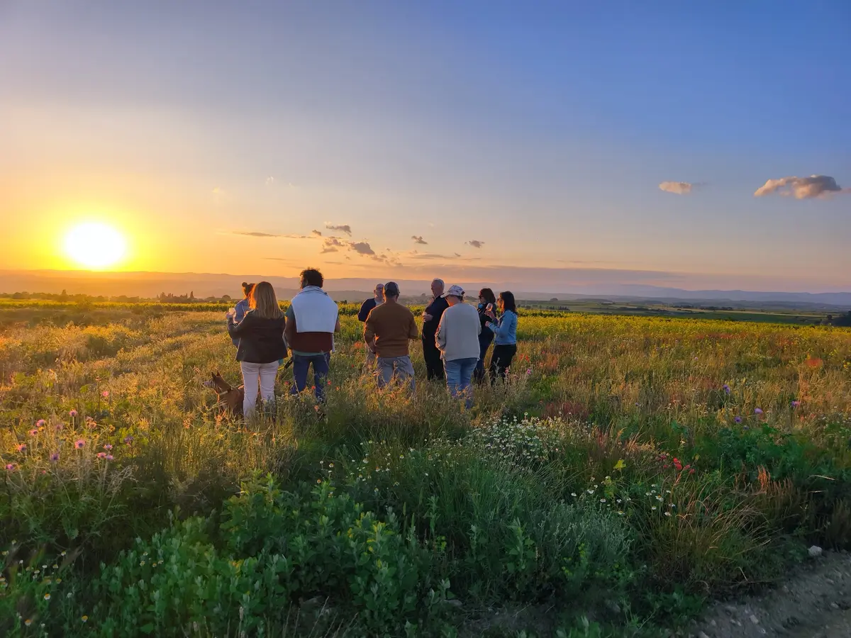 Balade Golden Hour Au Domaine