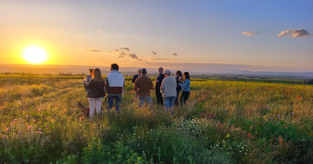 Balade Golden Hour Au Domaine