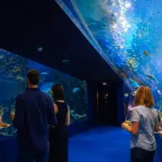 Balade gourmande à l’Aquarium de Biarritz