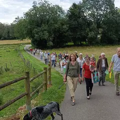 Balade gourmande à Montagna-le-Reconduit