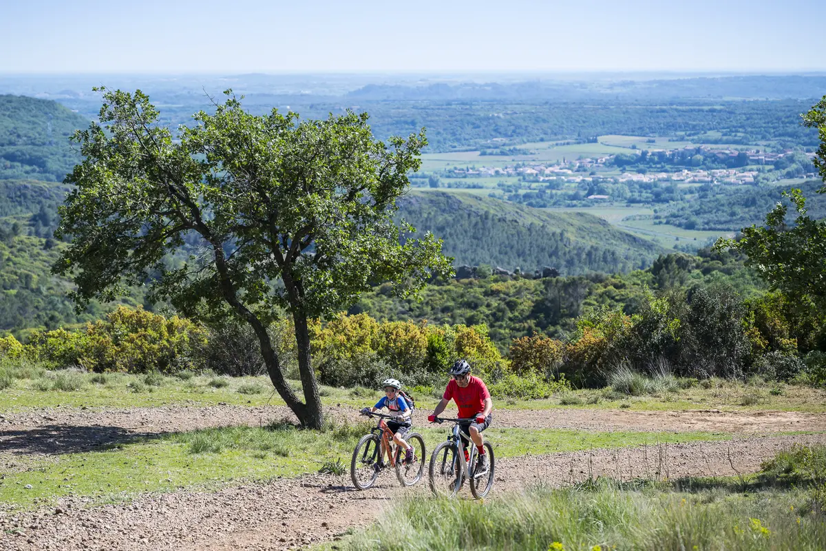 Balade Gourmande à Vélo, à La Découverte Du Terroir