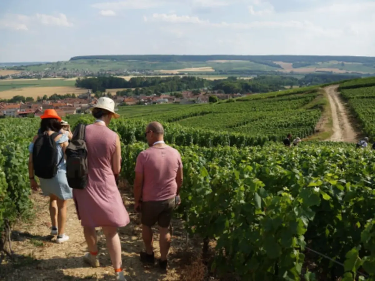 Balade gourmande dans les vignes à Epernay (51)