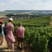 Balade gourmande dans les vignes à Epernay (51)