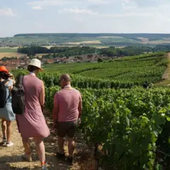 Balade gourmande dans les vignes à Epernay (51)