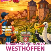 Balade gourmande de la Fête des Cerises