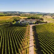 Balade Gourmande – édition Printemps