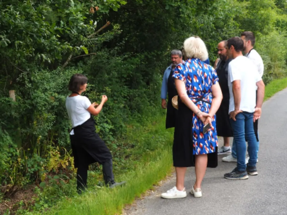 Balade gourmande et atelier cuisine à Saint-Lyphard (44)
