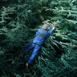 Balade - Graine de forêts