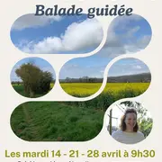 Balade guidée - À la découverte de la campagne percheronne