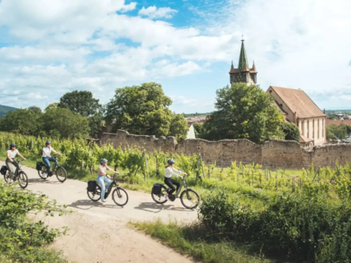 Balade guidée à vélo sur la route des vins d'Alsace