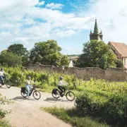 Balade guidée à vélo sur la route des vins d'Alsace