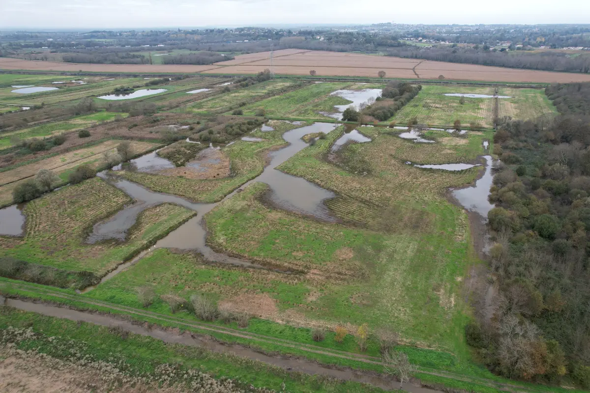 Balade guidée : découverte de la Virvée