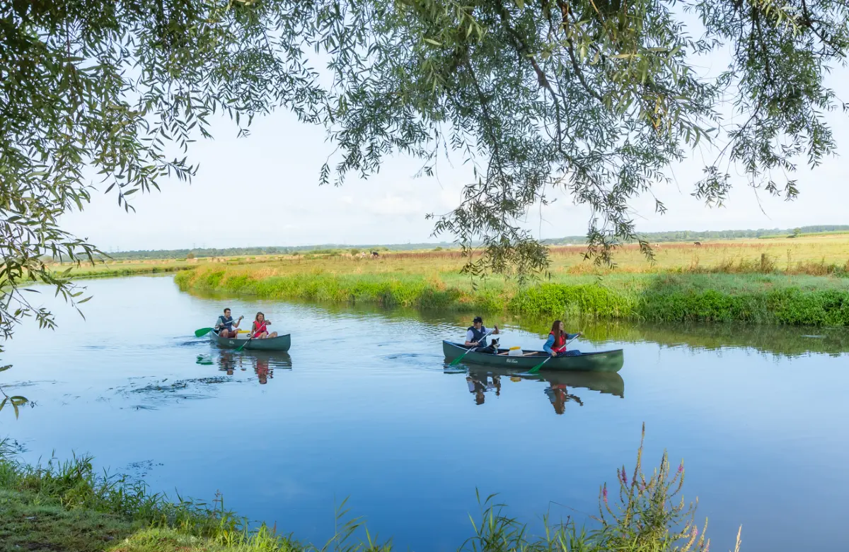 Balade guidée en Canoë 2h30