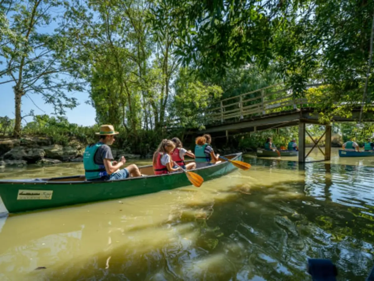Balade guidée en Canoë à Sallertaine (85)