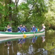 Balade guidée en canoë collectif sur la Leyre