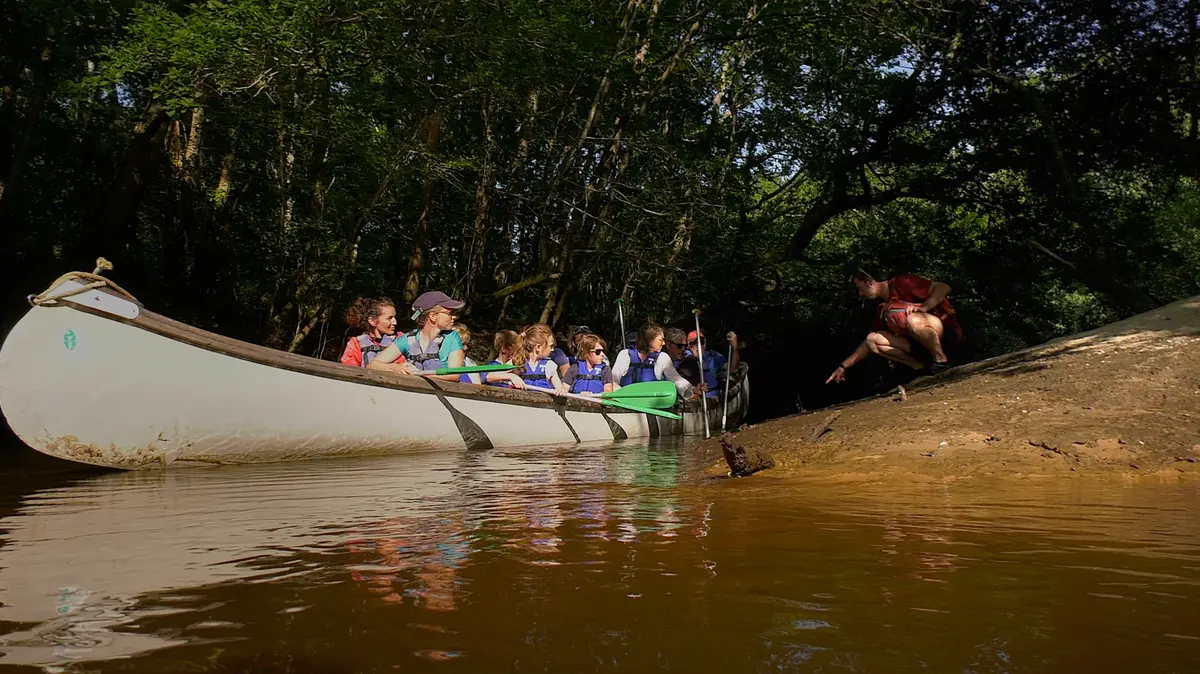 Balade guidée en canoë collectif sur la Leyre Départ Réserve Ornithologique
