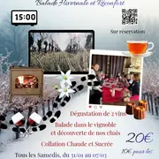 Balade hivernale au Château Champion