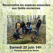 Balade : La biodiversité des forêts