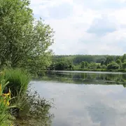 Balade Le printemps aux tourbières