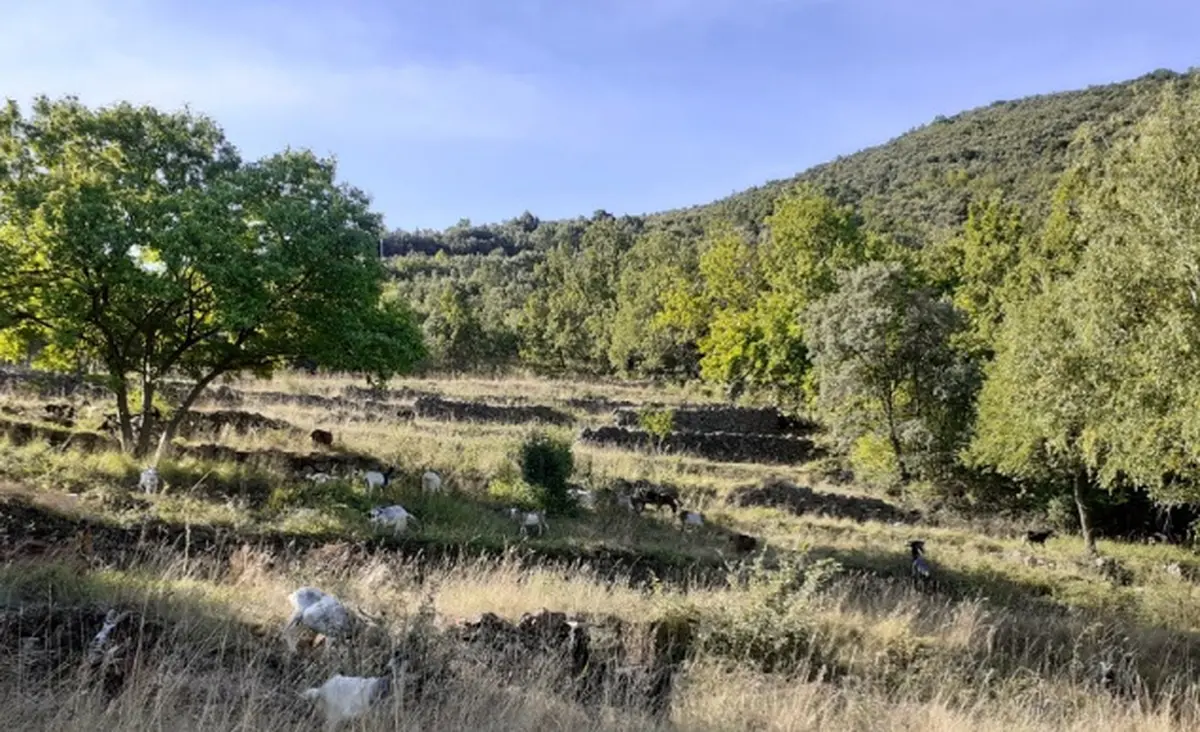 Balade Lecture De Paysage