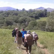 Balade Les arbres de la bergerie