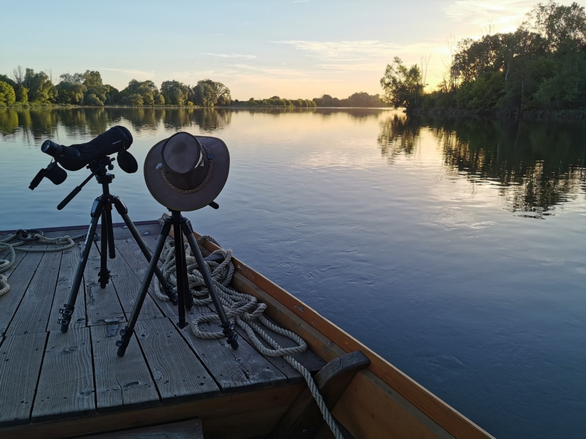Balade Loire et pique-nique : La Loire au crépuscule