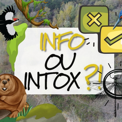 Balade Loire : Info ou intox de Loire