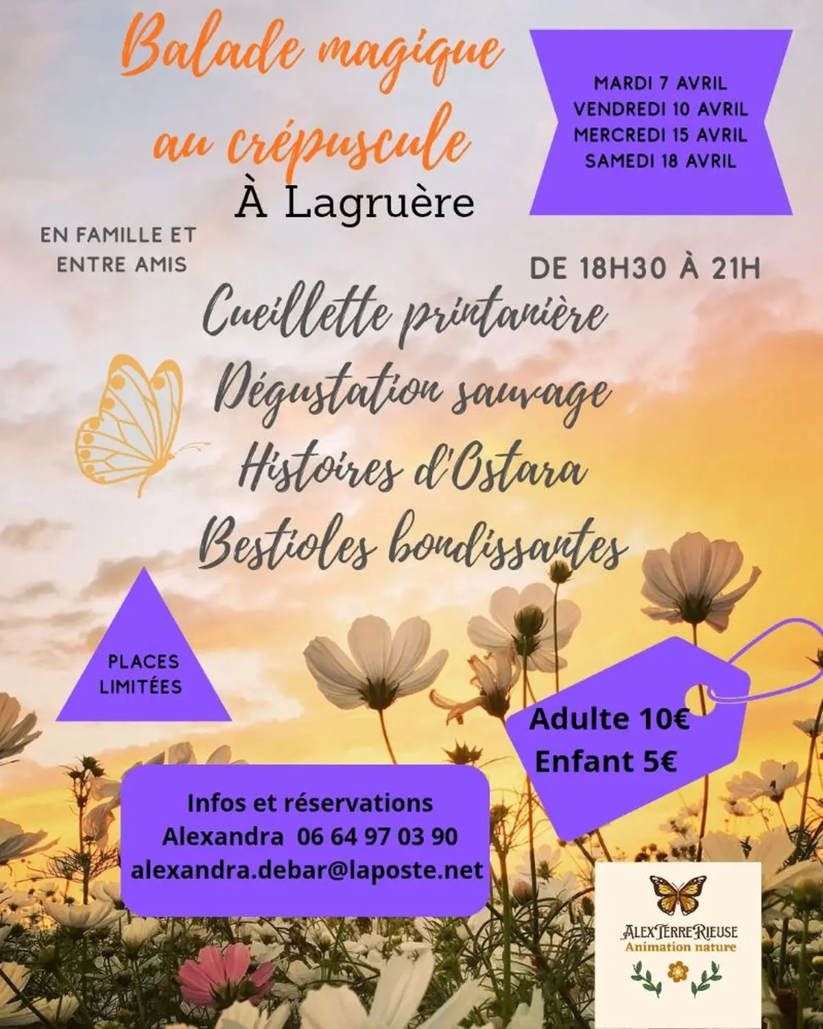 Balade magique au crépuscule