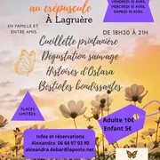 Balade magique au crépuscule