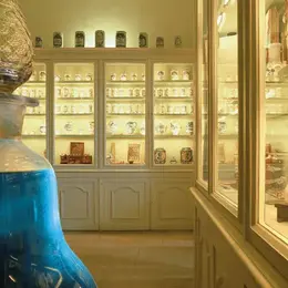 Balade muséale « Musée Flaubert et d’Histoire de la médecine » à la Micro-Folie