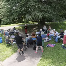 Balade musicale contée au château de Montautre