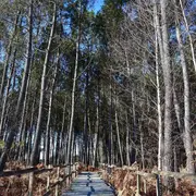 Balade naturaliste