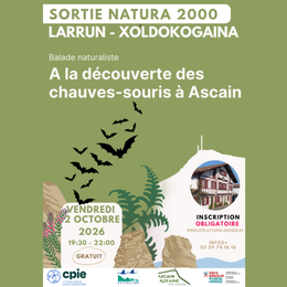 Balade naturaliste : à la découverte des chauve-souris