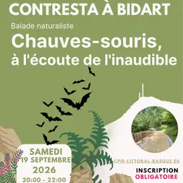 Balade naturaliste : Chauves-souris, à l'écoute de l'inaudible à Bidart - CPIE Littoral Basque