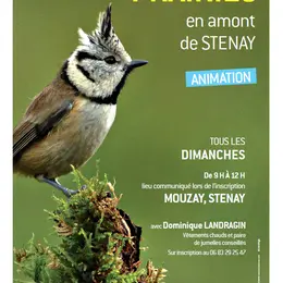 Balade naturaliste et ornithologique