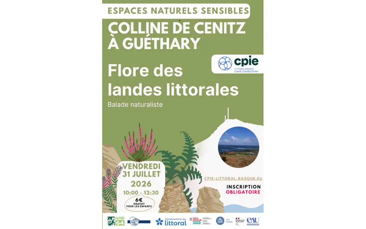 Balade naturaliste : flore des landes littorales sur la colline de Cénitz