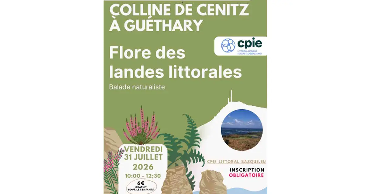 Balade naturaliste : flore des landes littorales sur la colline de Cénitz