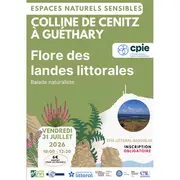 Balade naturaliste : flore des landes littorales sur la colline de Cénitz