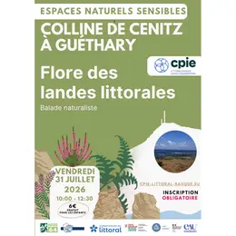Balade naturaliste : flore des landes littorales sur la colline de Cénitz