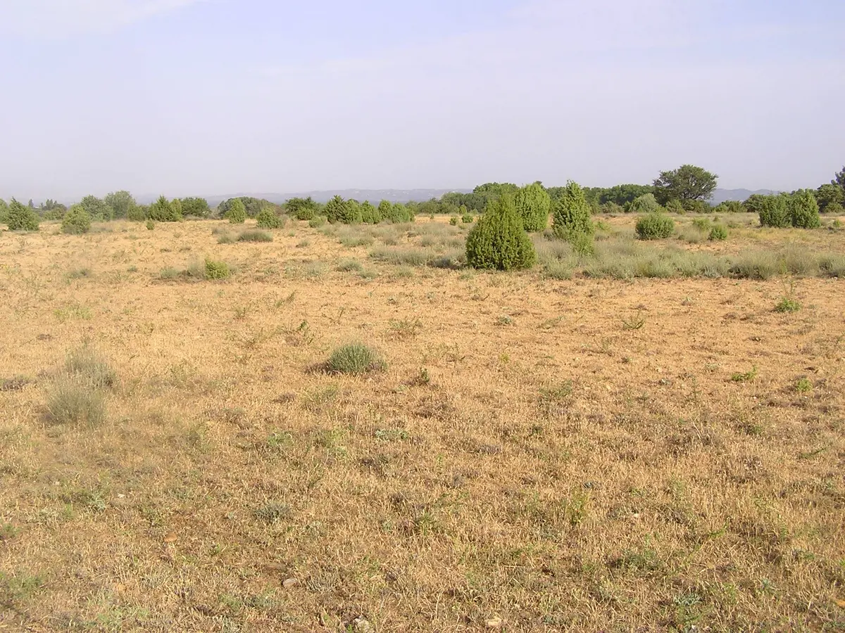 Balade naturaliste : Histoire et écologie de la Petite Crau