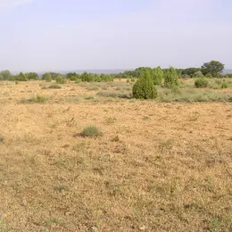Balade naturaliste : Histoire et écologie de la Petite Crau