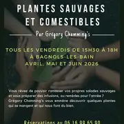 Balade Naturaliste : Plantes Sauvages Et Comestibles