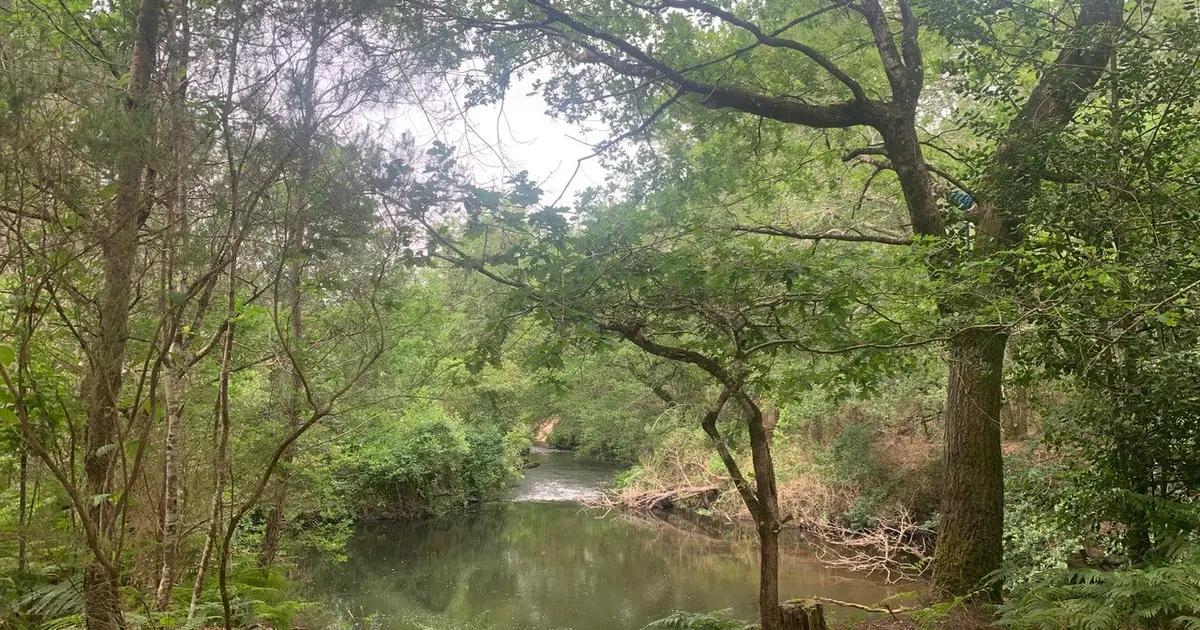 Balade nature