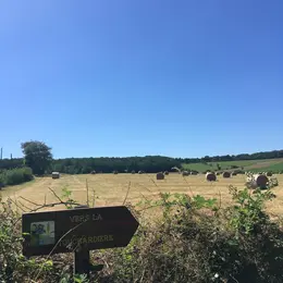 Balade nature