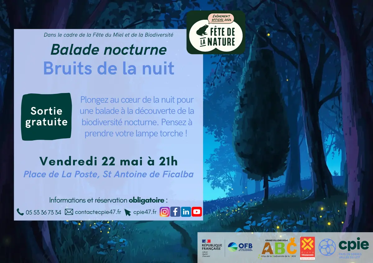 Balade nature à l'écoute des bruits de la nuit