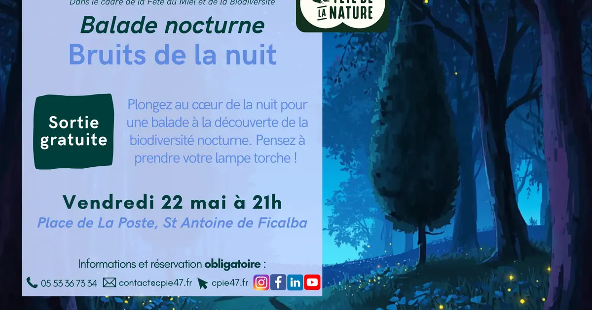 Balade nature à l'écoute des bruits de la nuit