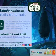 Balade nature à l'écoute des bruits de la nuit