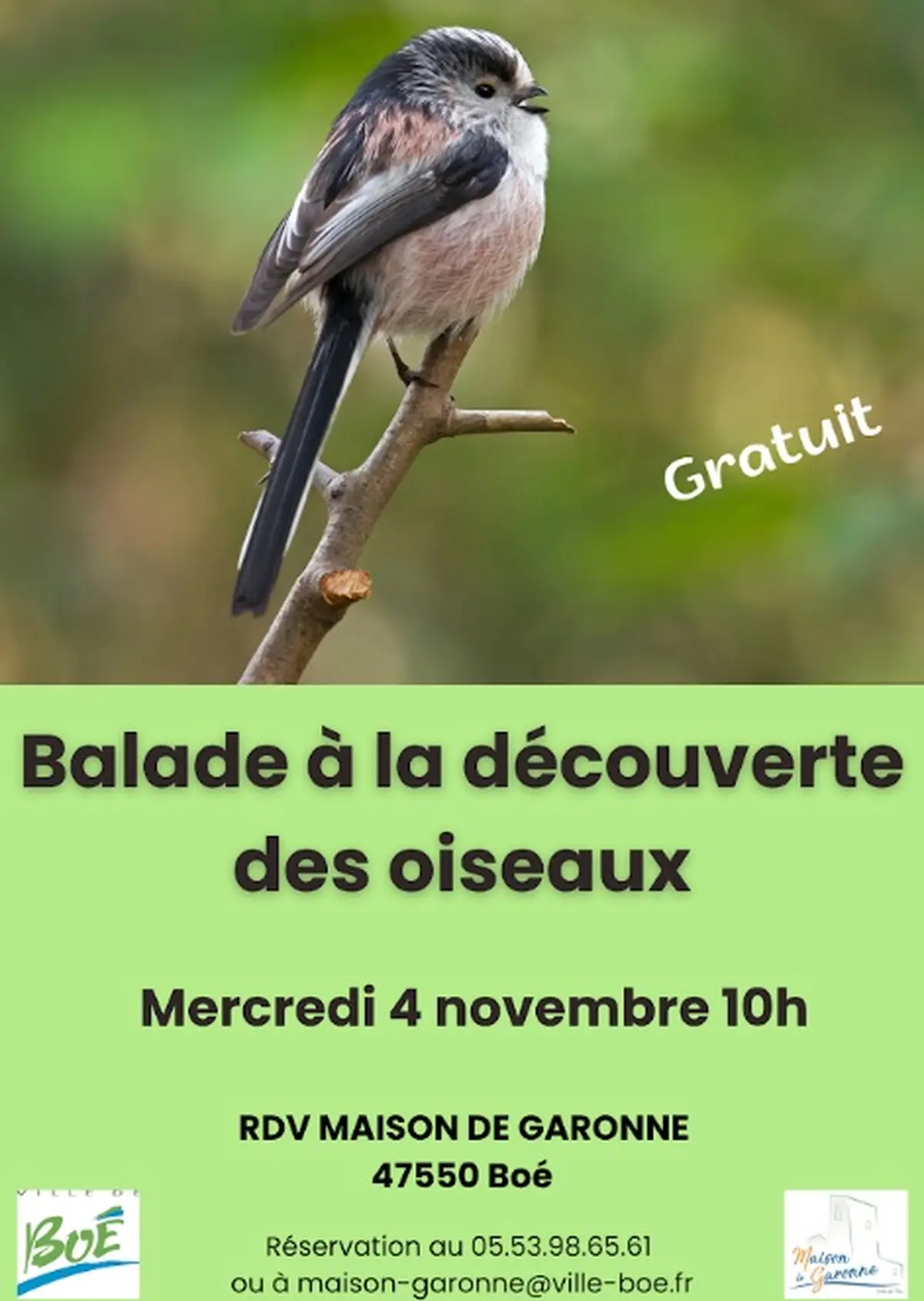 Balade nature à la découverte des oiseaux