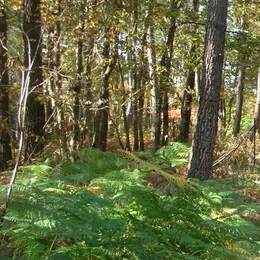 Balade nature à Leugny